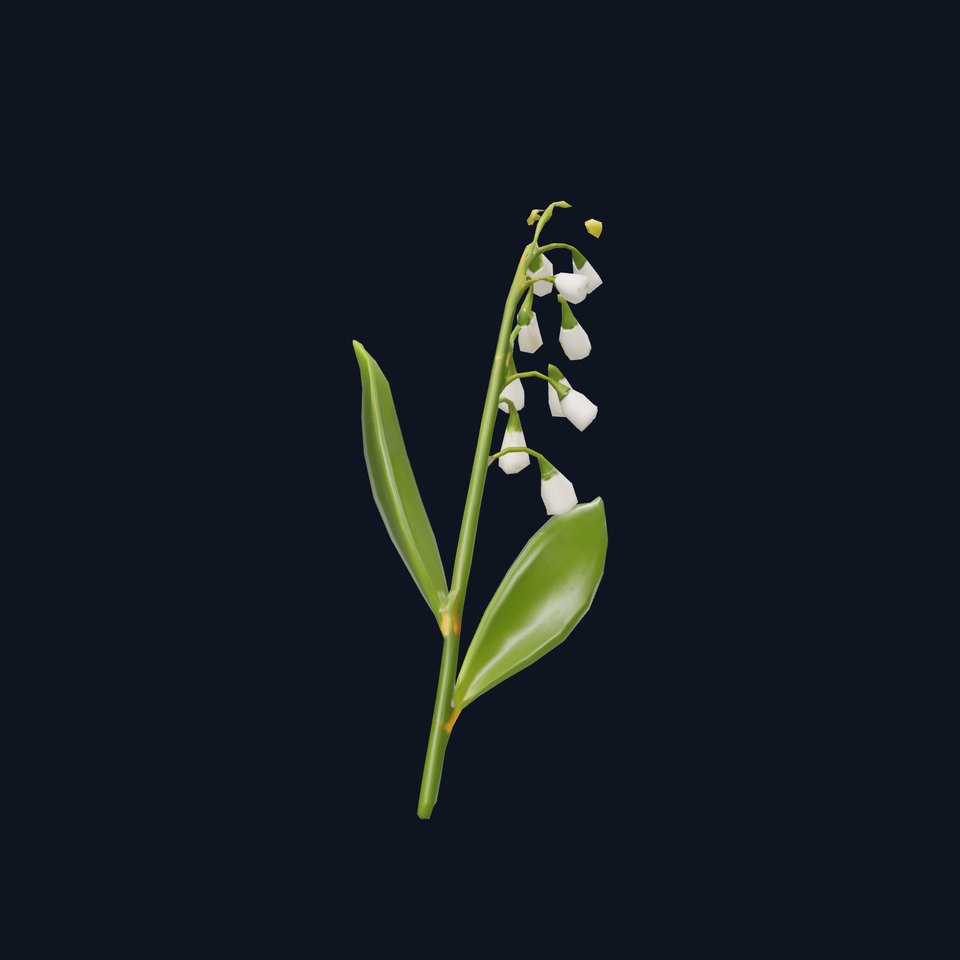 Lily of the Valley Floral model pack